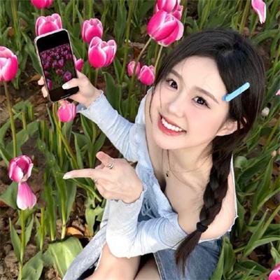 毛驴县令之大事小情